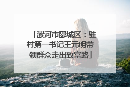 漯河市郾城区：驻村第一书记王元明带领群众走出致富路