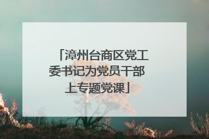 漳州台商区党工委书记为党员干部上专题党课
