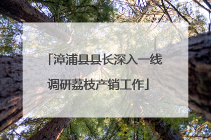 漳浦县县长深入一线调研荔枝产销工作