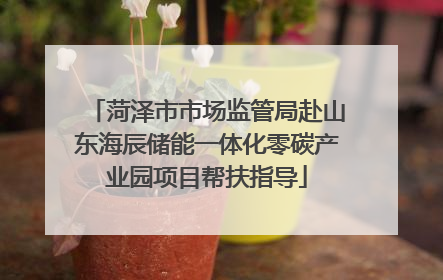 菏泽市市场监管局赴山东海辰储能一体化零碳产业园项目帮扶指导