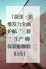 菏泽：多维发力全面护航“三夏”生产 确保夏粮颗粒归仓