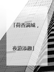 荷香满城，夜游添趣