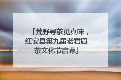荒野寻茶觅真味，红安县第九届老君眉茶文化节启幕