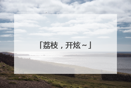 荔枝，开炫～