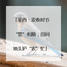 莱西：麦收时节“警”相随，田间地头护“农”忙