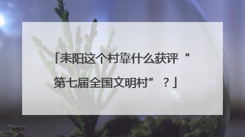 耒阳这个村靠什么获评“第七届全国文明村”？