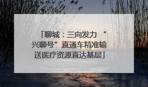 聊城：三向发力 “兴聊号”直通车精准输送医疗资源直达基层