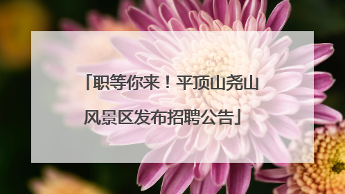 职等你来！平顶山尧山风景区发布招聘公告