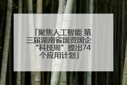 聚焦人工智能 第三届湖南省国资国企“科技周”提出74个应用计划