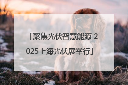 聚焦光伏智慧能源 2025上海光伏展举行