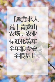 聚焦北大荒｜青龙山农场：农业标准化筑牢全年粮食安全根基