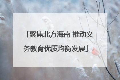 聚焦北方海南 推动义务教育优质均衡发展