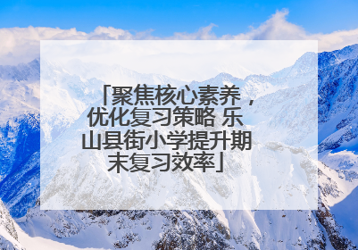 聚焦核心素养，优化复习策略 乐山县街小学提升期末复习效率