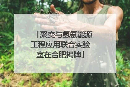 聚变与氢氨能源工程应用联合实验室在合肥揭牌
