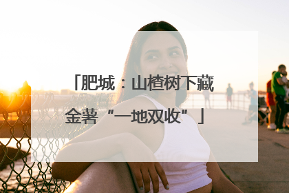 肥城：山楂树下藏金薯“一地双收”