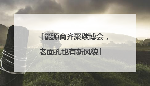 能源商齐聚碳博会，老面孔也有新风貌