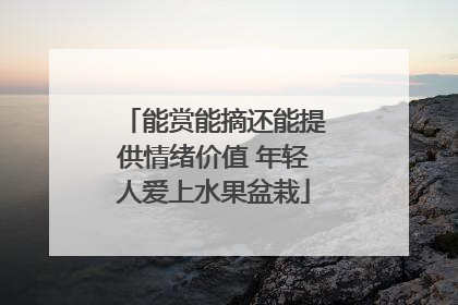 能赏能摘还能提供情绪价值 年轻人爱上水果盆栽