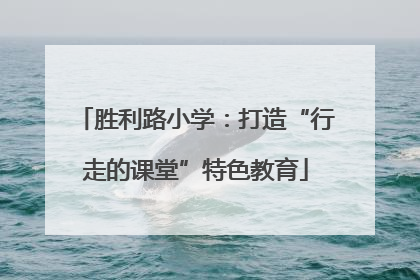 胜利路小学：打造“行走的课堂”特色教育