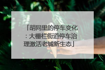 胡同里的停车变化：大栅栏街道停车治理激活老城新生态