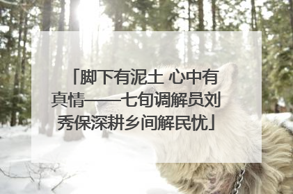 脚下有泥土 心中有真情——七旬调解员刘秀保深耕乡间解民忧