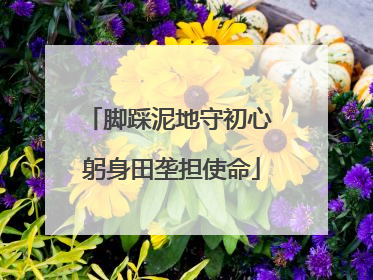 脚踩泥地守初心 躬身田垄担使命
