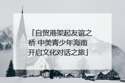 自贸港架起友谊之桥 中美青少年海南开启文化对话之旅