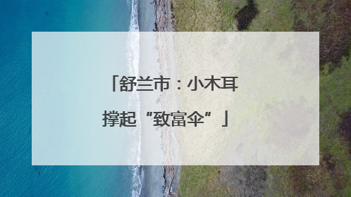 舒兰市：小木耳撑起“致富伞”