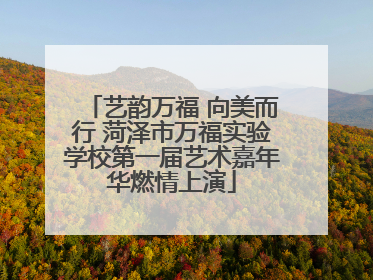 艺韵万福 向美而行 菏泽市万福实验学校第一届艺术嘉年华燃情上演