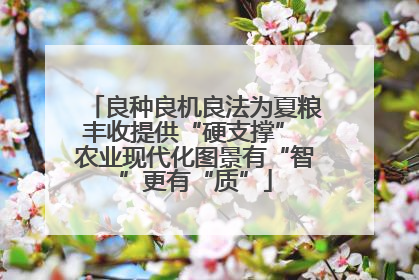 良种良机良法为夏粮丰收提供“硬支撑” 农业现代化图景有“智”更有“质”