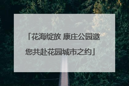 花海绽放 康庄公园邀您共赴花园城市之约
