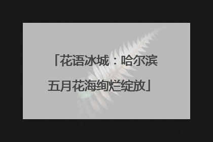 花语冰城：哈尔滨五月花海绚烂绽放