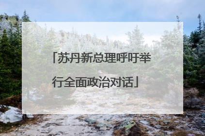 苏丹新总理呼吁举行全面政治对话