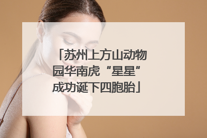 苏州上方山动物园华南虎“星星”成功诞下四胞胎