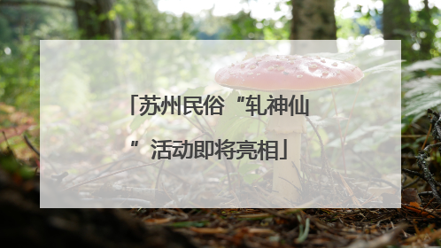 苏州民俗“轧神仙”活动即将亮相
