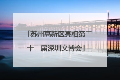苏州高新区亮相第二十一届深圳文博会