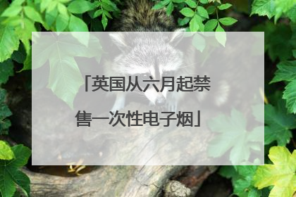 英国从六月起禁售一次性电子烟