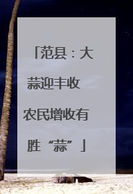 范县：大蒜迎丰收 农民增收有胜“蒜”