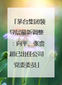 茅台集团领导层最新调整：向平、张贵超已出任公司党委委员