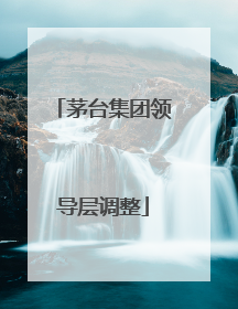 茅台集团领导层调整