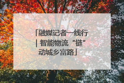 融媒记者一线行｜智能物流“链”动城乡富路