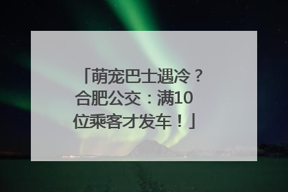 萌宠巴士遇冷？合肥公交：满10位乘客才发车！