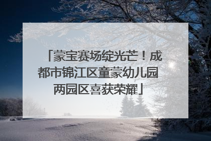 蒙宝赛场绽光芒！成都市锦江区童蒙幼儿园两园区喜获荣耀