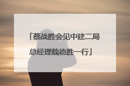蔡战胜会见中建二局总经理魏德胜一行