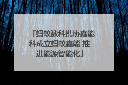 蚂蚁数科携协鑫能科成立蚂蚁鑫能 推进能源智能化