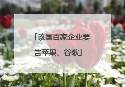 该国百家企业要告苹果、谷歌