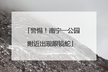 警惕！南宁一公园附近出现眼镜蛇