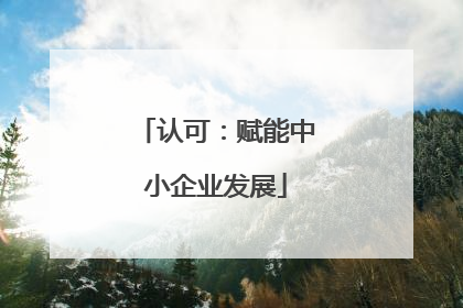 认可：赋能中小企业发展