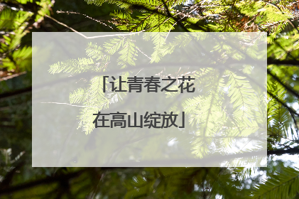 让青春之花在高山绽放