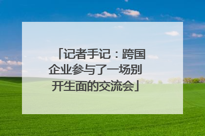 记者手记：跨国企业参与了一场别开生面的交流会