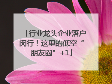 行业龙头企业落户闵行！这里的低空“朋友圈”+1